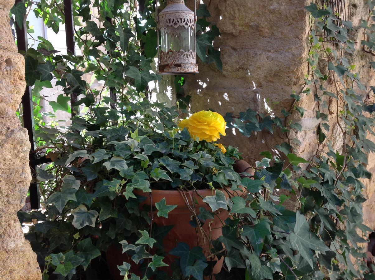 Un Patio En Luberon Bed & Breakfast Ansouis Bagian luar foto